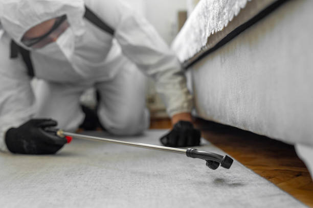 Professional Bed Bug Control technician working in Chino Hills, CA