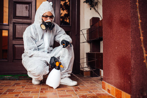 Reliable Bed Bug Control contractor in Chino Hills, CA by Nex Pest Control